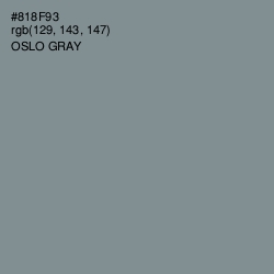 #818F93 - Oslo Gray Color Image